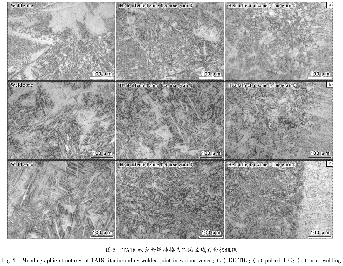 1695300932163594.jpg t5.jpg