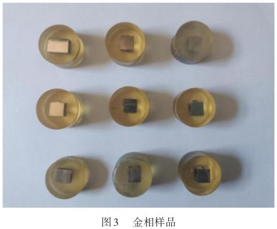 1695569126946958.jpg t3.jpg