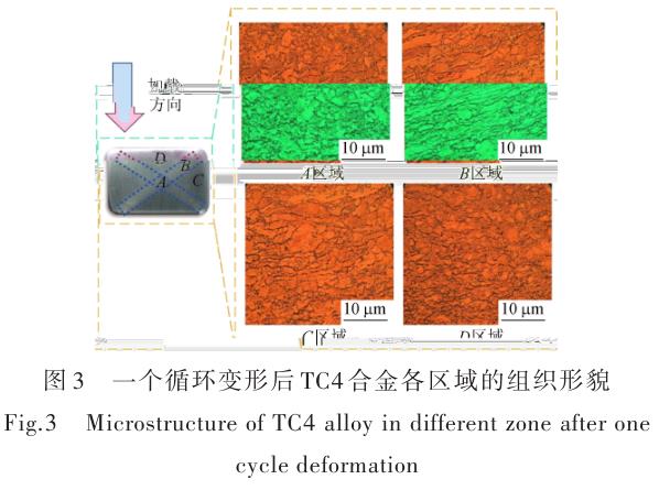 1696505465344640.jpg t3.jpg