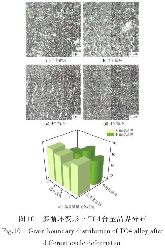 1696505546746993.jpg t10.jpg