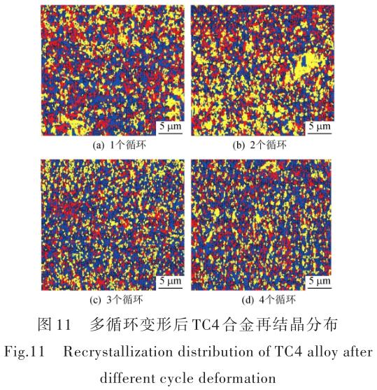 1696505556193132.jpg t11.jpg