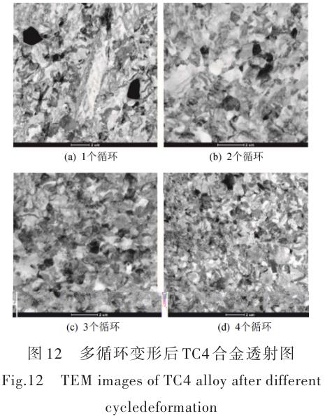 1696505563936373.jpg t12.jpg