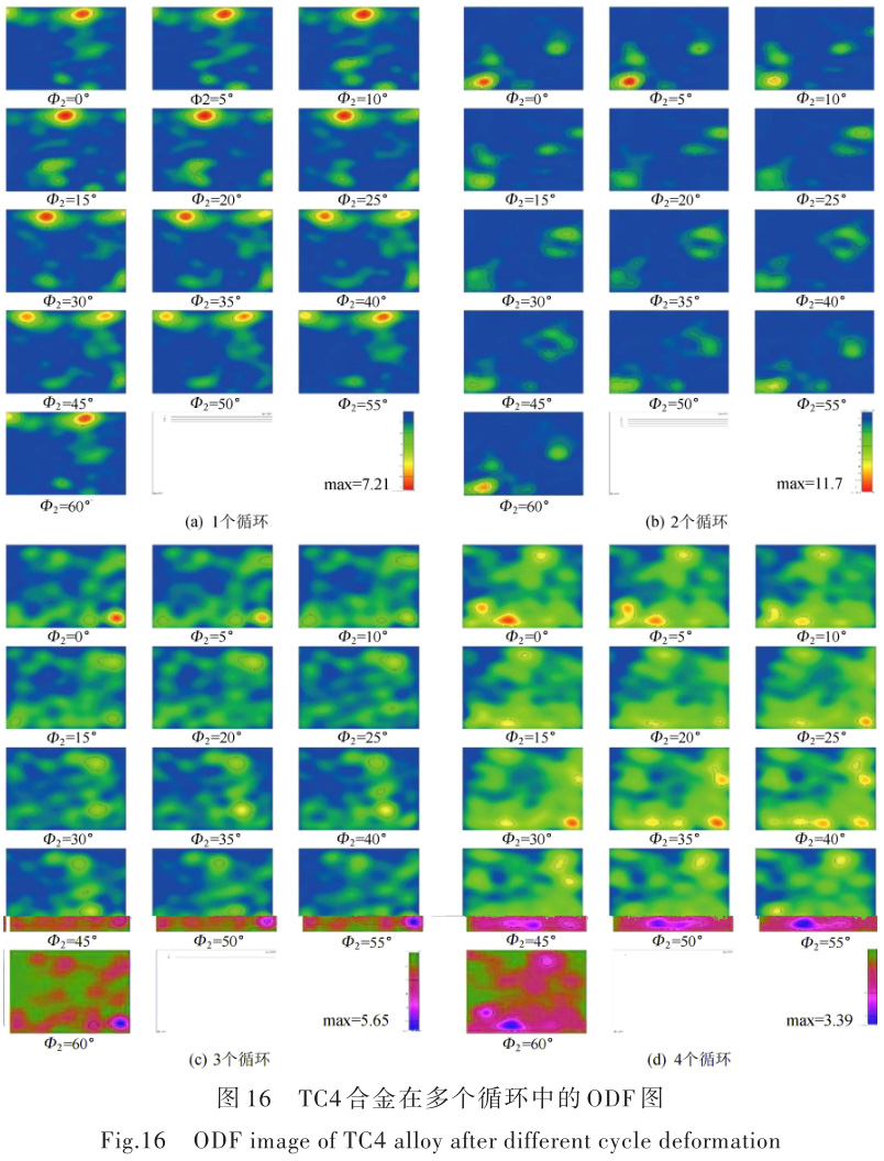 1696505598941921.jpg t16.jpg