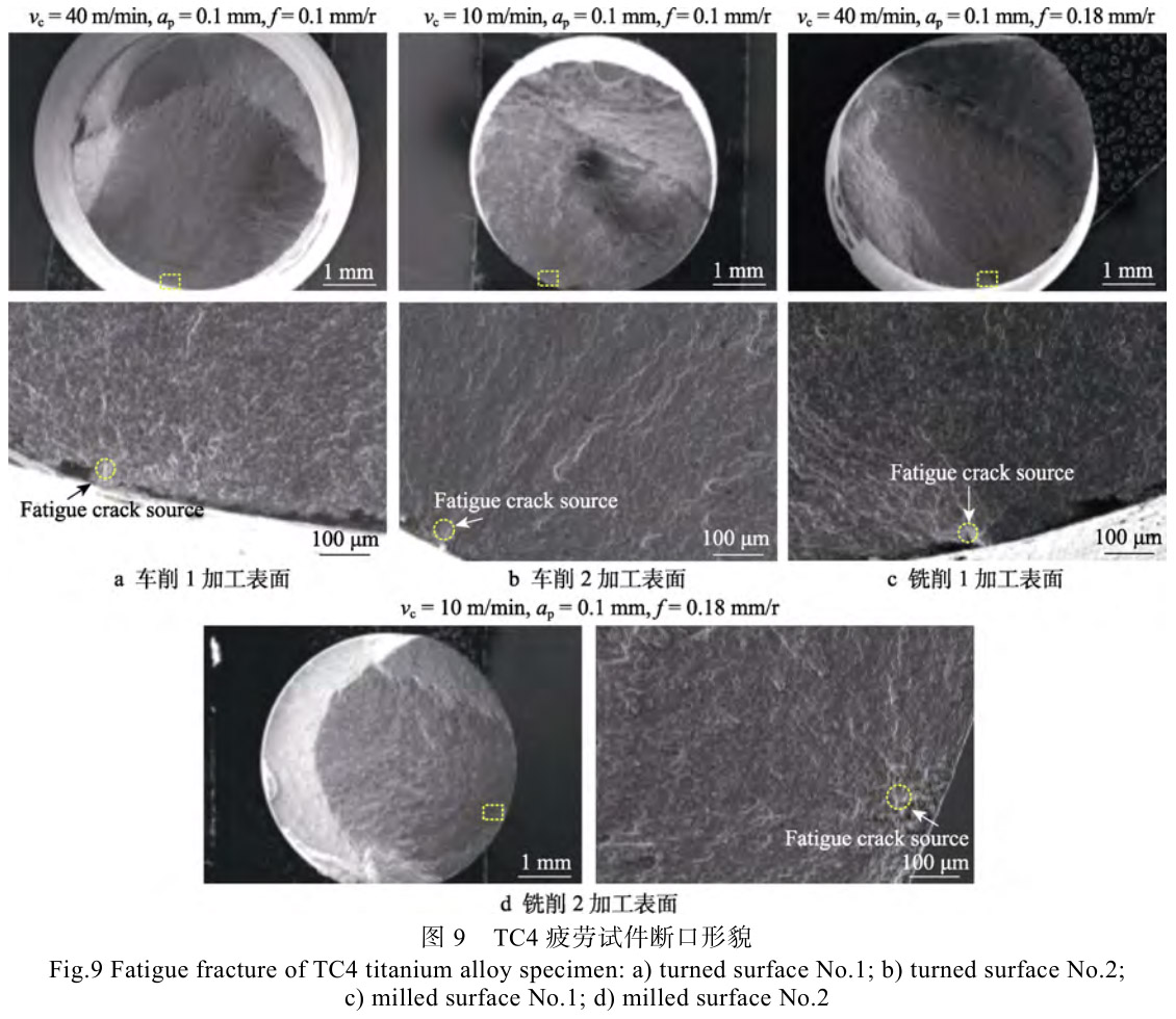 1696907912753903.jpg t9.jpg